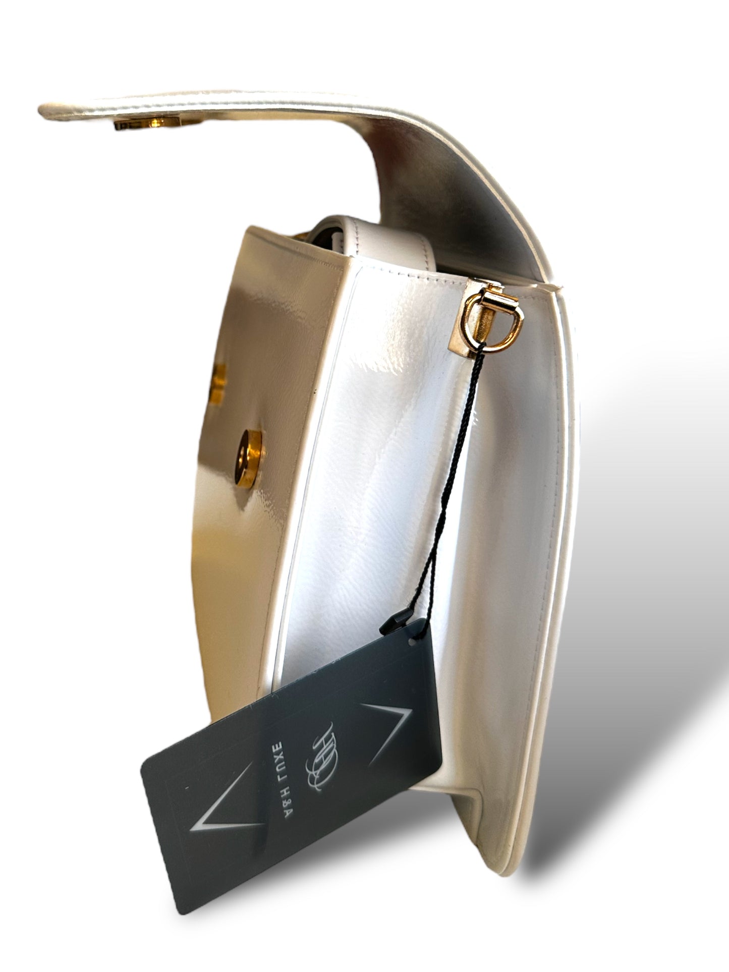 Glossy Flap Structured Bag